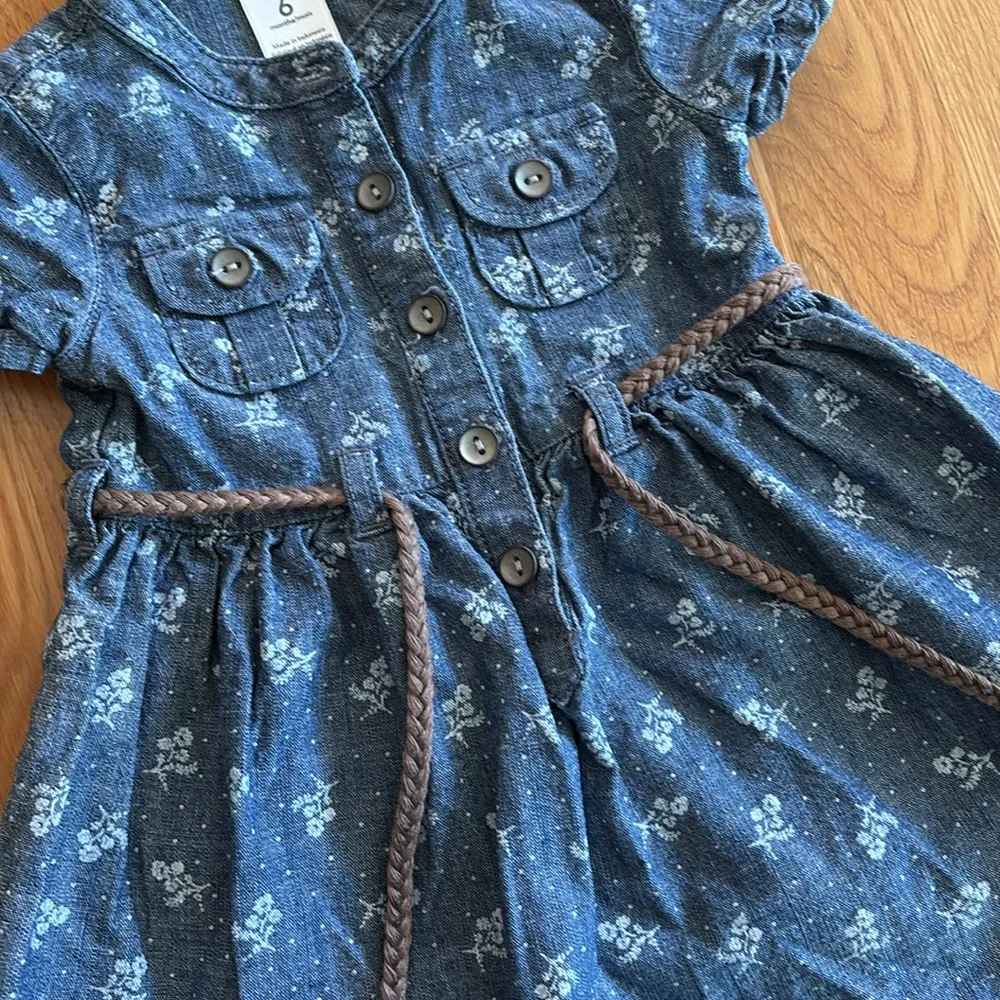 6M Carter’s Denim Floral Dress